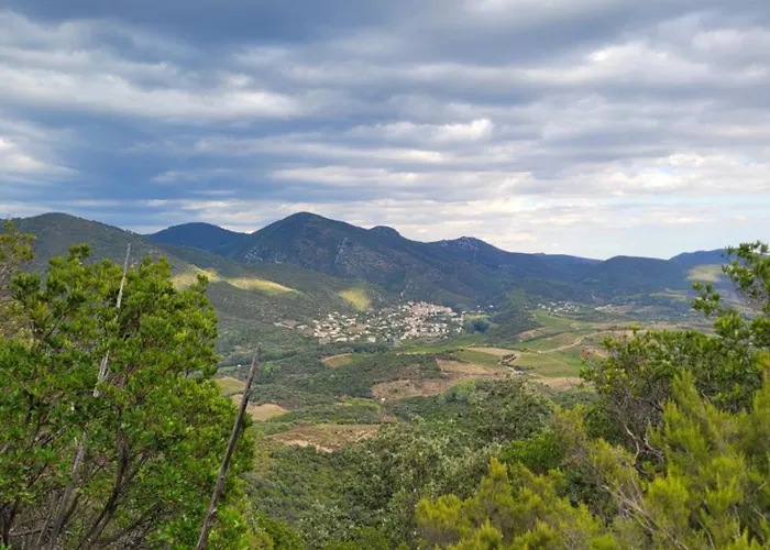 Hébergement de vacances La Maison De Consuelo Roquebrun